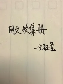 网文收集册