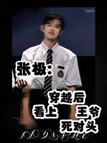 张极：穿越后看上王爷死对头