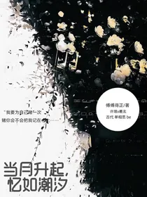 当月升起，忆如潮汐