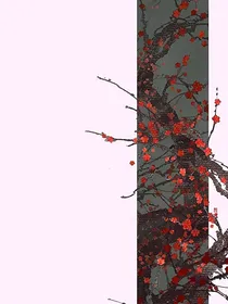 素衣之下值千金