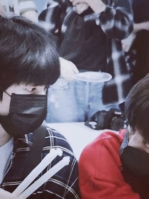 文严文：玫瑰的花期