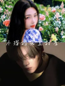 小璨橙光素材库