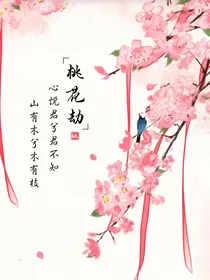 神兵侠将之心悦君兮君不知