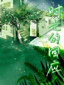 时光的回应