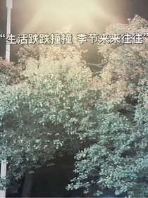 神已输