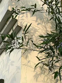 左邓：等风归