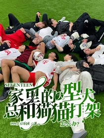 SEVENTEEN：家里的大型犬总和猫猫打架怎么办？