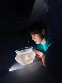 TF三代：南星不孤独