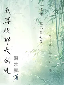 我喜欢那天的风