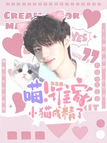 朱志鑫：喵！谁家小猫成精了