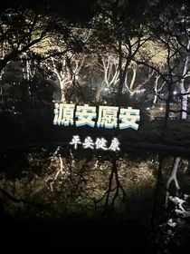 源安愿安