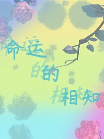 命运的相知