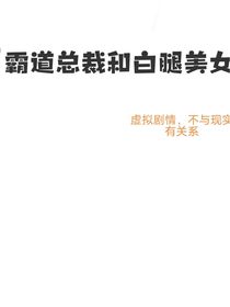 霸道总裁之白腿美女