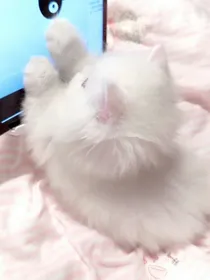 七秒之绊