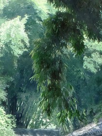 风吹绿竹