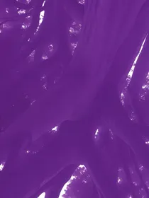 鸿者