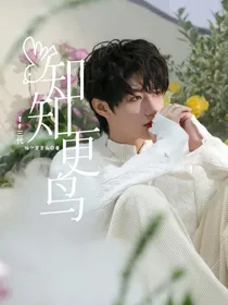 TF三代：知知更鸟