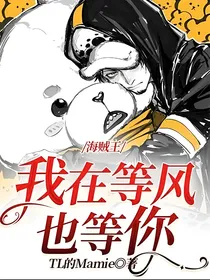 海贼王：我在等风也等你