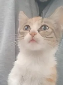 末世的那些主角