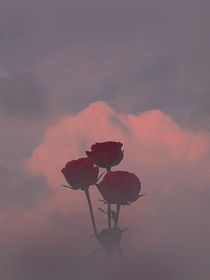 偶像是我的？