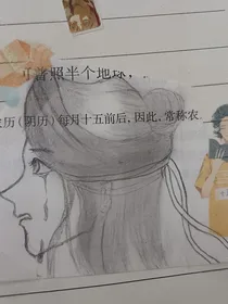 穿书之系统，任务我自己定