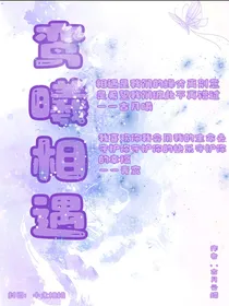 鸾曦相遇