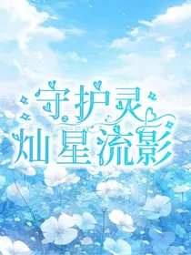 守护灵之灿星流影