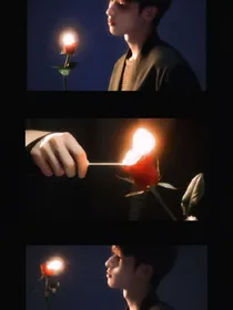 随笔小档案……Y