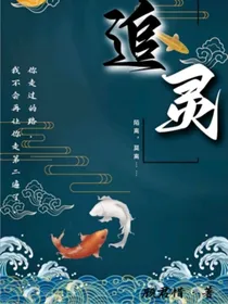 追灵