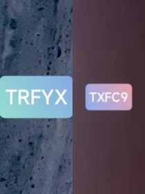 TXFC9，和TRFYX