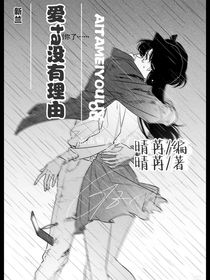 爱ta没有理由（新兰）