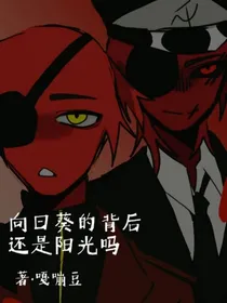 向日葵的背后还是阳光吗
