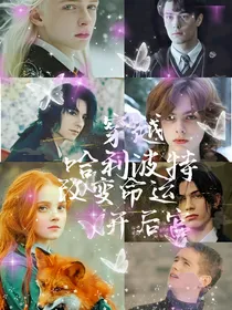 哈利波特改变命运开后宫