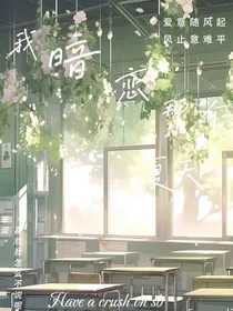 我暗恋的夏天