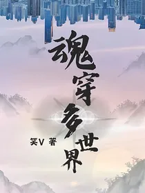 魂穿多世界