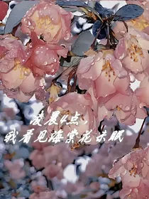 凌晨4点，我看见海棠花未眠