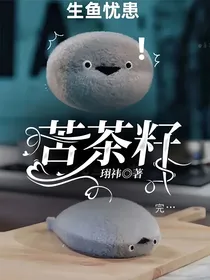 苦茶籽