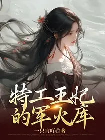 特工王妃的军火库
