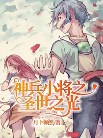神兵小将之圣世之光