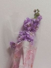 神灵的秘密
