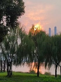 什么内容都有
