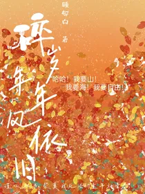 碎岁年年风依旧
