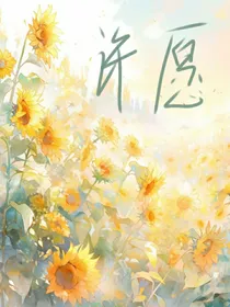 许愿了