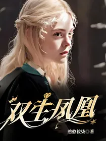 HP：双生凤凰