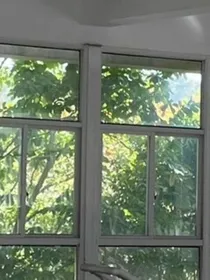 旅行琴蛙（观影体）
