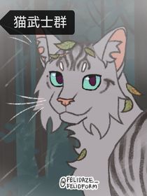 猫武士群
