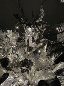 朱志鑫：罪恶滔天