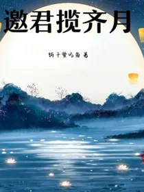 邀君揽齐月