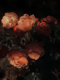 烟火间