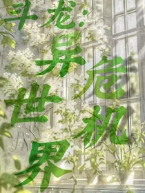 斗龙：异世界危机